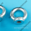 Carbon Steel Lifting DIN582 Eye Nut